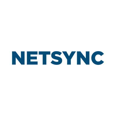 Netsync Network Solutions logo
